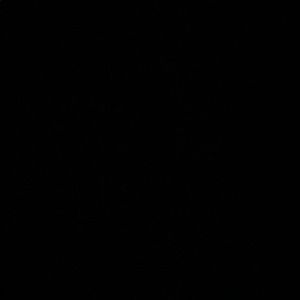 Meet your Posher, Chloe